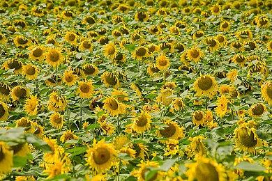 《最终幻想16》视觉效果早期对比现在 光照效果更逼真